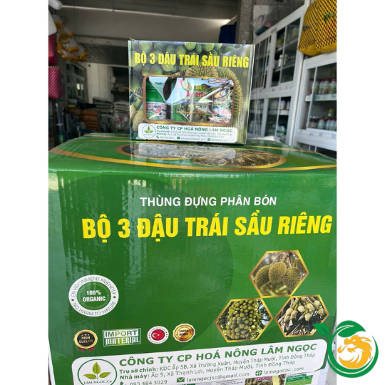 Bộ 3 đậu trái sầu riêng